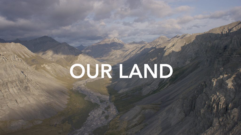 Our Land – The Rogovy Foundation